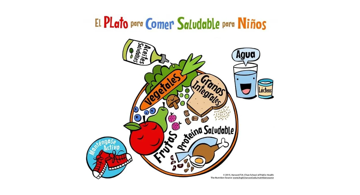 El plato de Harvard para niños